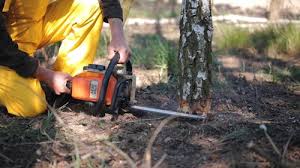 Best Commercial Tree Services  in Hugo, OK